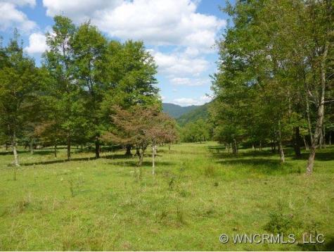 259 Garrett Cove Road Leicester NC 28748
