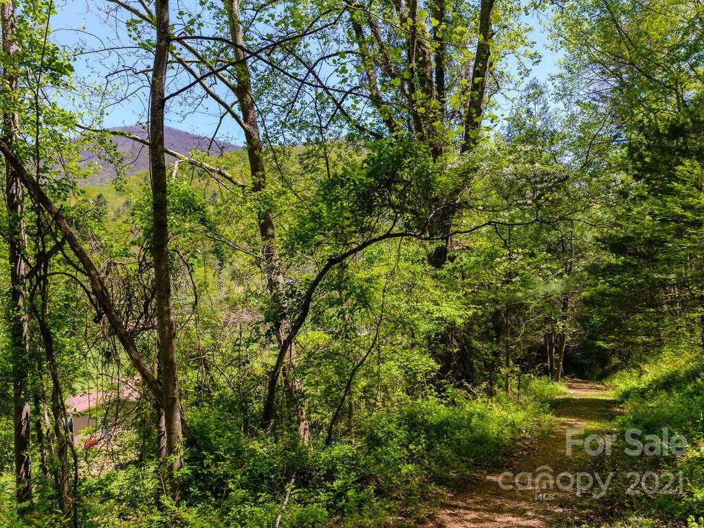 259 Ox Creek Road Weaverville NC 28787