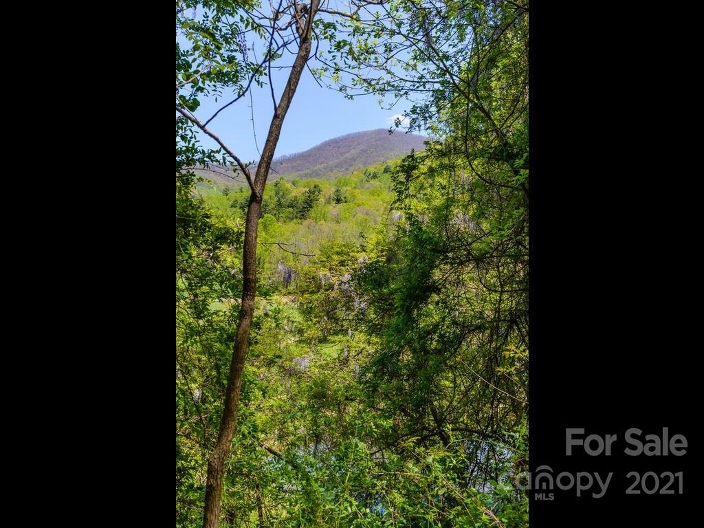 259 Ox Creek Road Weaverville NC 28787