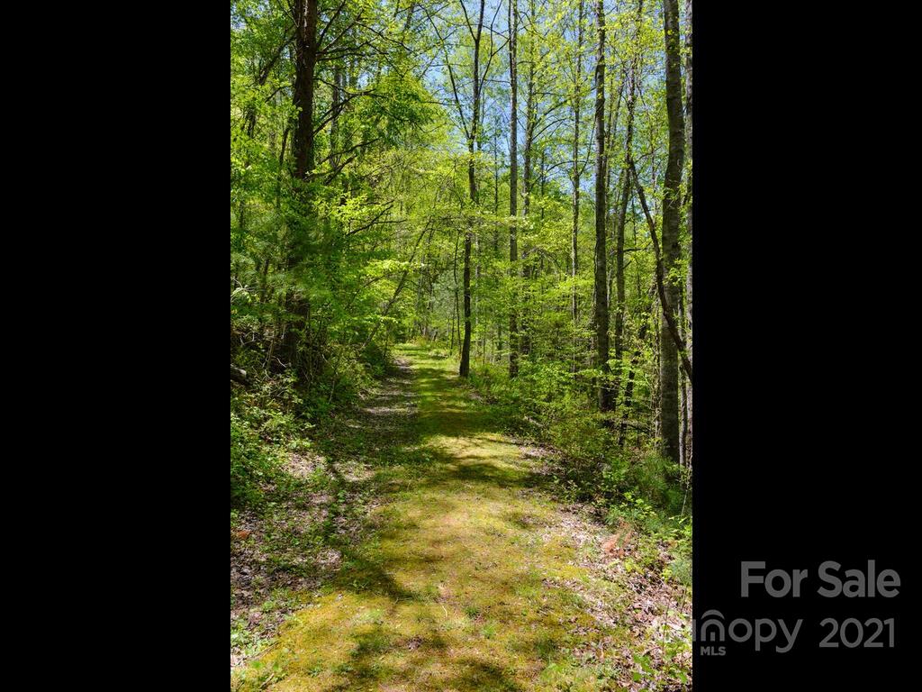 259 Ox Creek Road Weaverville NC 28787