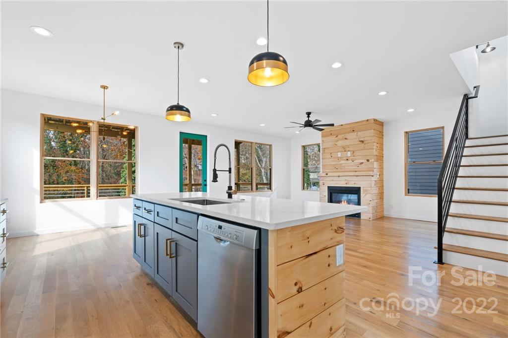 163 Hudson Street Asheville NC 28806