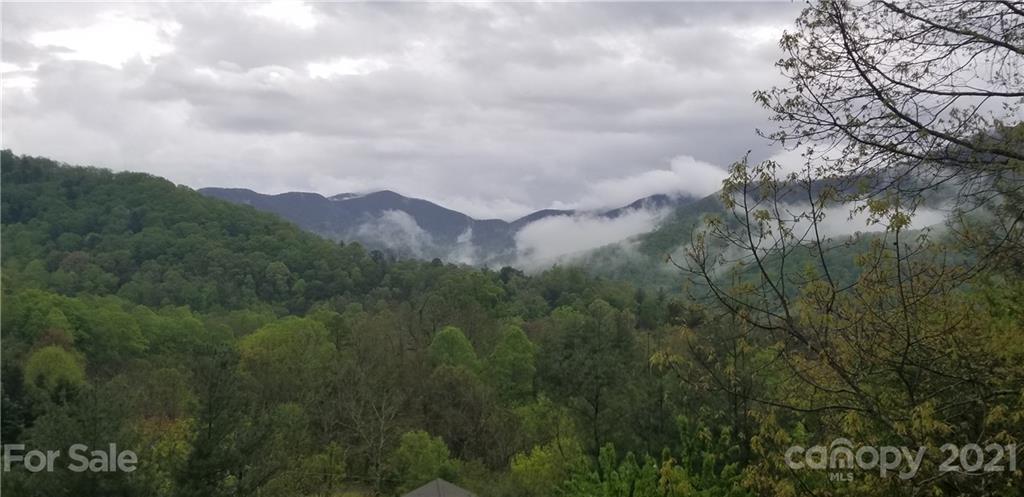 2 Ladyslipper Road Weaverville NC 28787