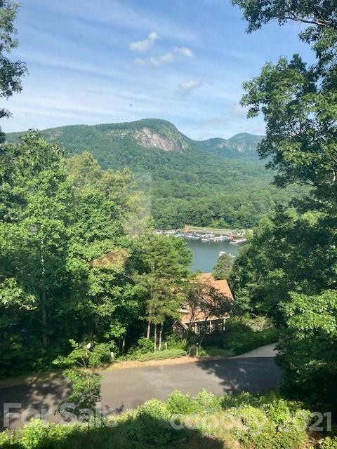 205 Hillview Drive Lake Lure NC 28746