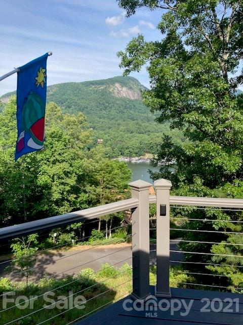 205 Hillview Drive Lake Lure NC 28746