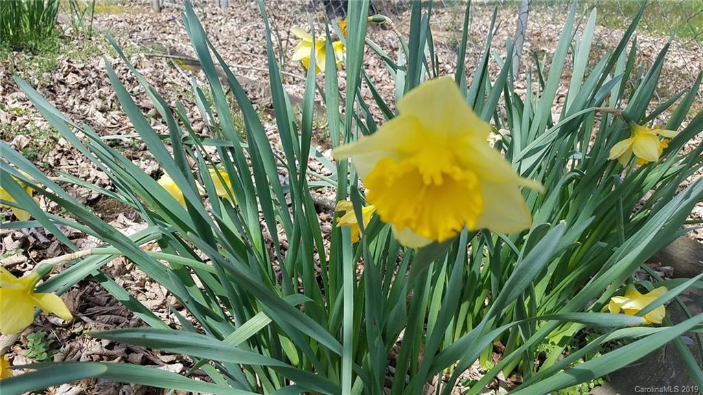 165 Old County Home Road Asheville NC 28806