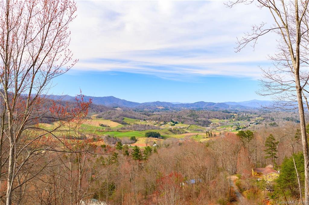 214 Hayes Cove Road Leicester NC 28748