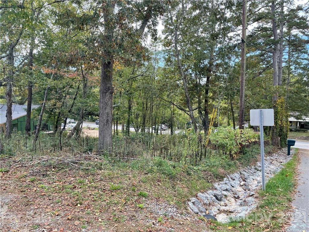 99999 N Main Street Weaverville NC 28787