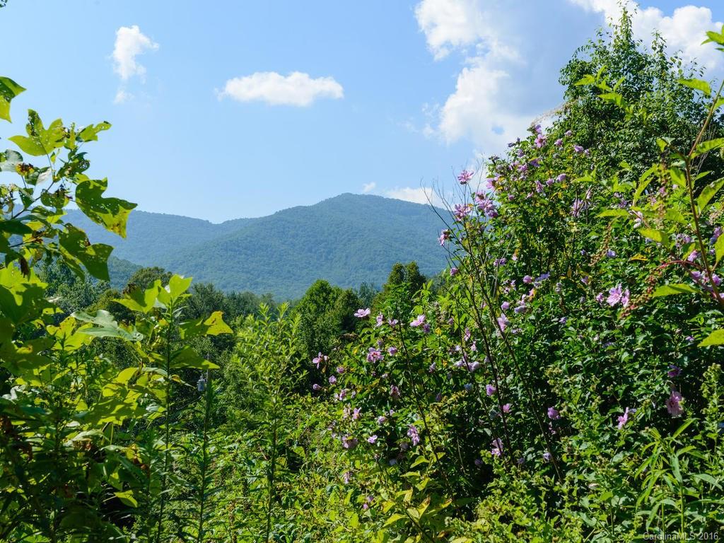 86 Davis Chapel Road Candler NC 28715