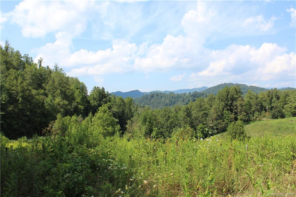 844 Revere Road Marshall NC 28753