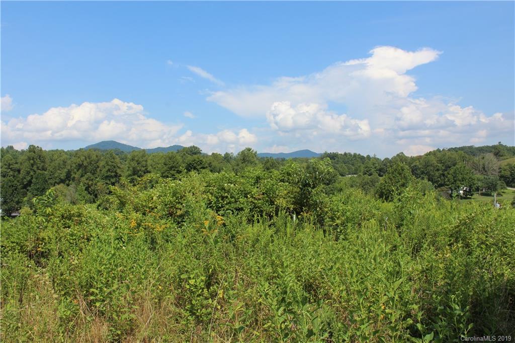 844 Revere Road Marshall NC 28753
