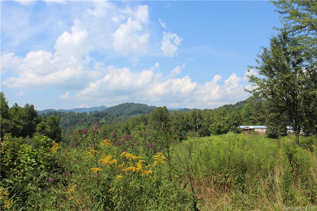 844 Revere Road Marshall NC 28753