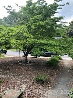29 Westwood Place Asheville NC 28806