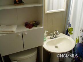 73 Brown Lynch Road Candler NC 28715