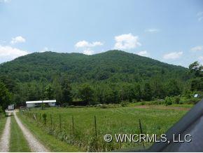 310 Dillingham Road Barnardsville NC 28709