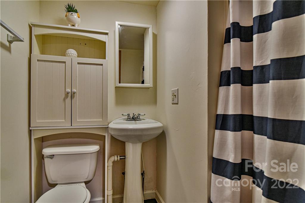22 Jarrett Street Asheville NC 28806