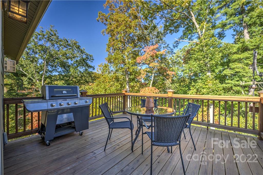 5 Duncannon Street Weaverville NC 28787