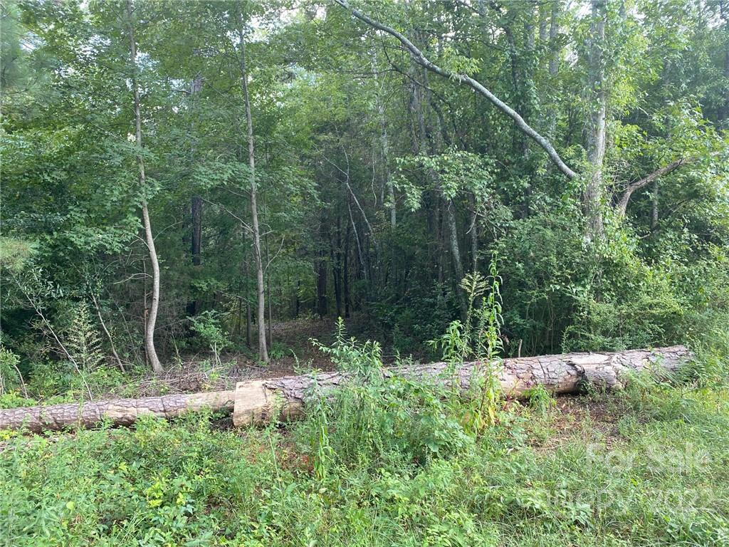 6040 Wilgrove Mint Hill Road Mint Hill NC 28227