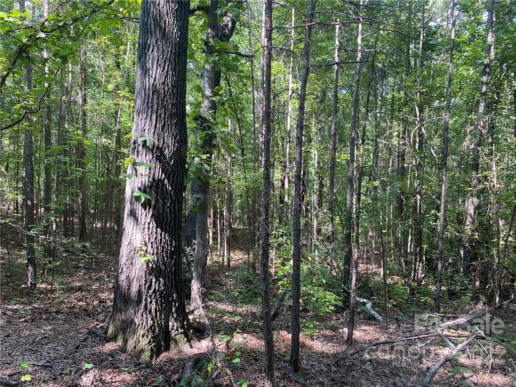 6040 Wilgrove Mint Hill Road Mint Hill NC 28227