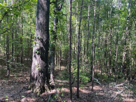 6040 Wilgrove Mint Hill Road Mint Hill NC 28227