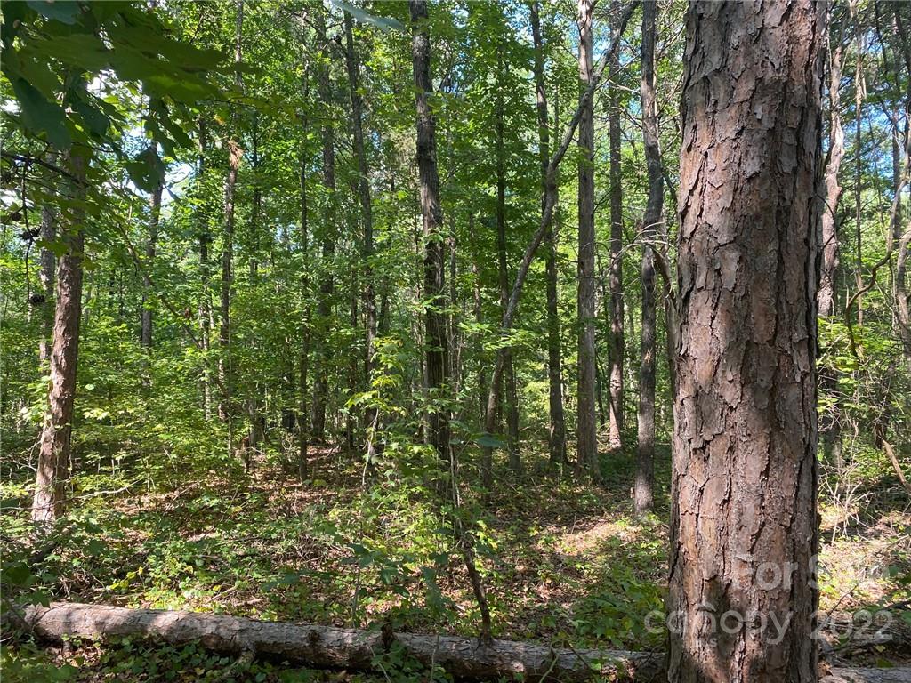 6040 Wilgrove Mint Hill Road Mint Hill NC 28227