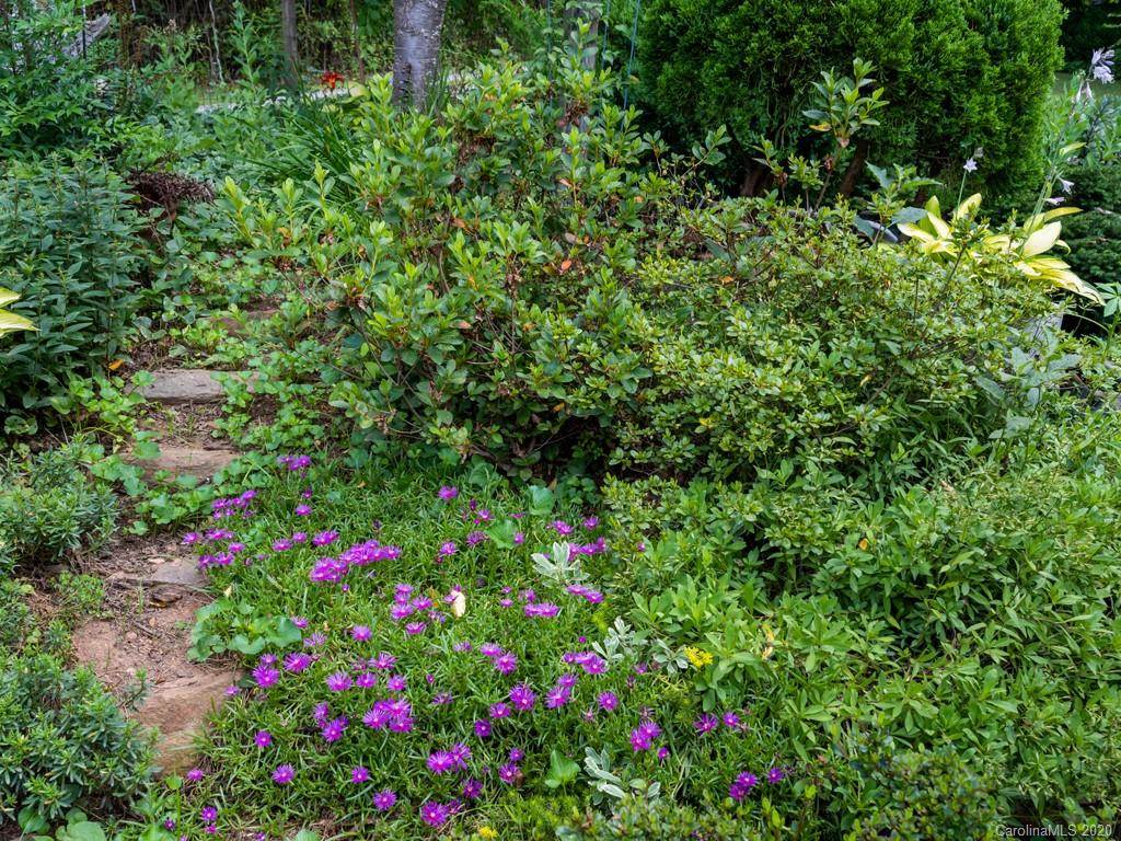 27 Little Knob Road Asheville NC 28803