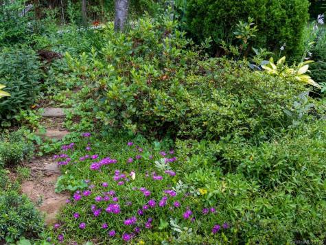 27 Little Knob Road Asheville NC 28803