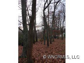 3 Hubbard Avenue Asheville NC 28806