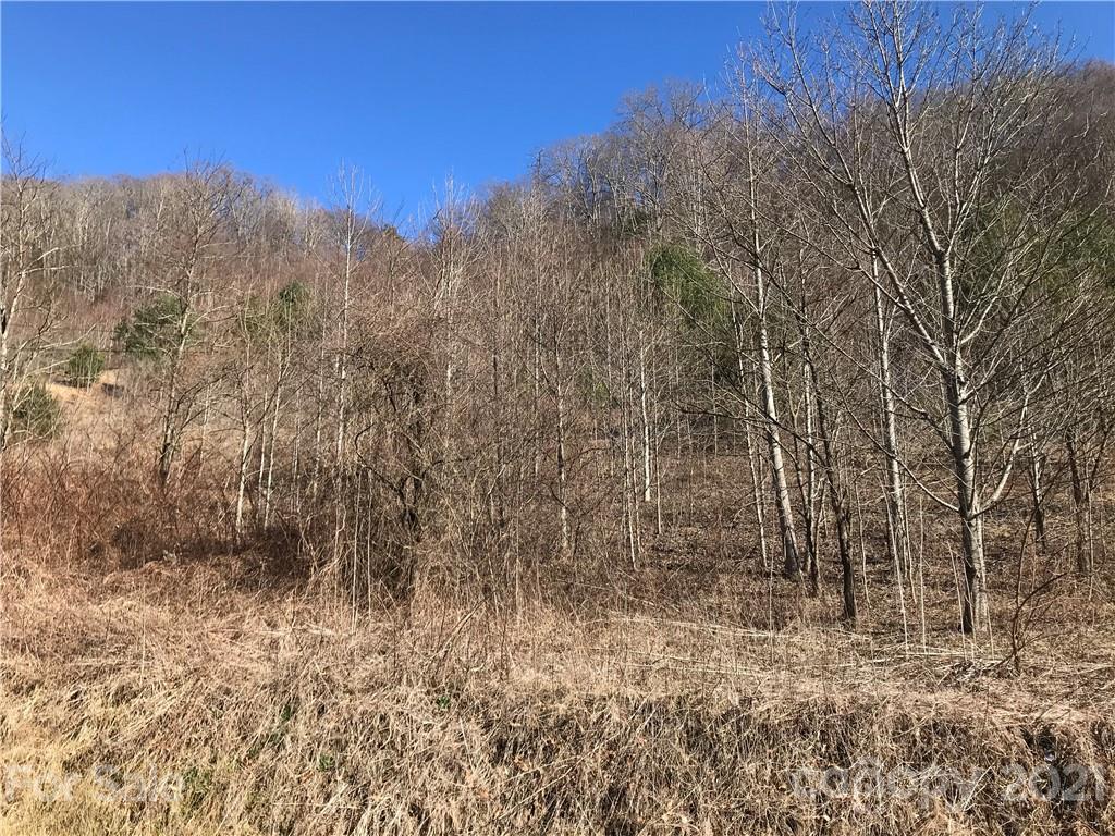 5110 Liner Creek Road Clyde NC 28721