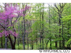 206 Woodland Drive Swannanoa NC 28778