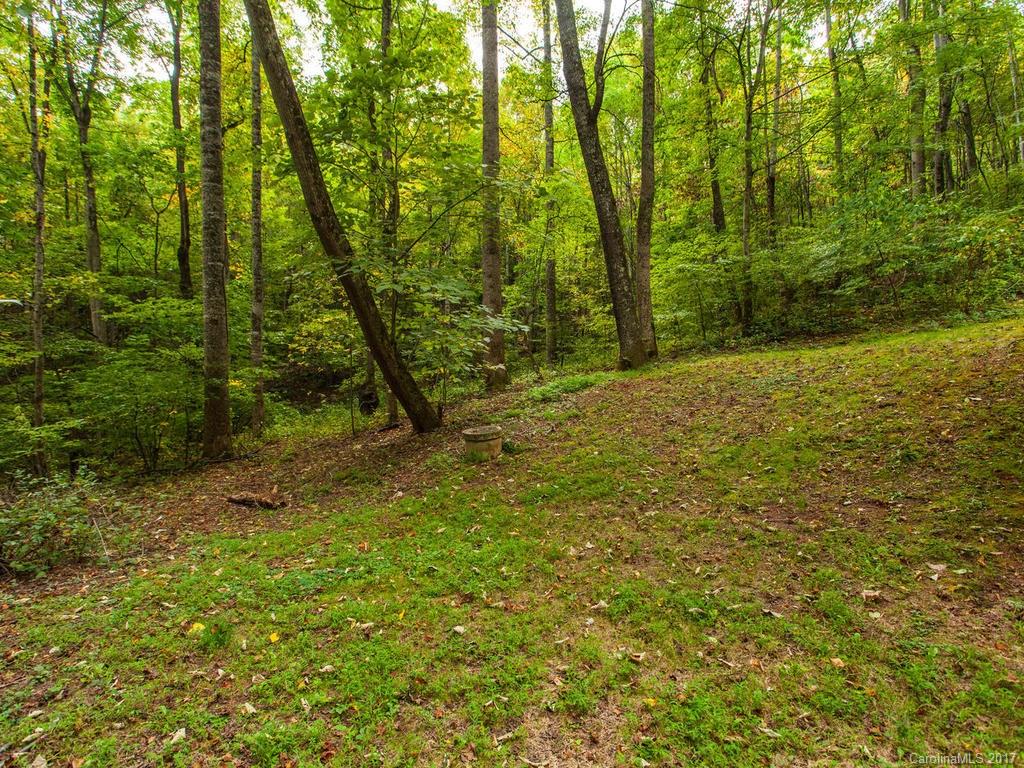 99 Apgar Road Candler NC 28715