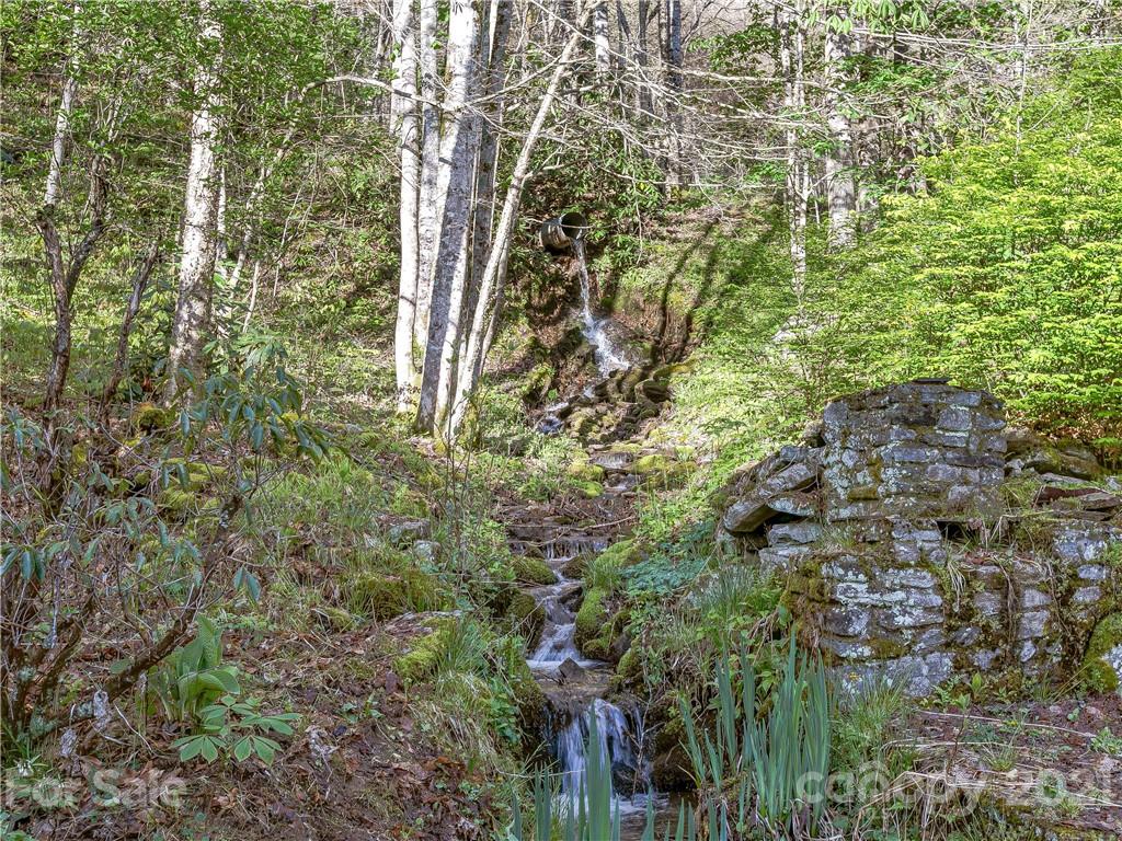 1465 Lentini Drive Waynesville NC 28785