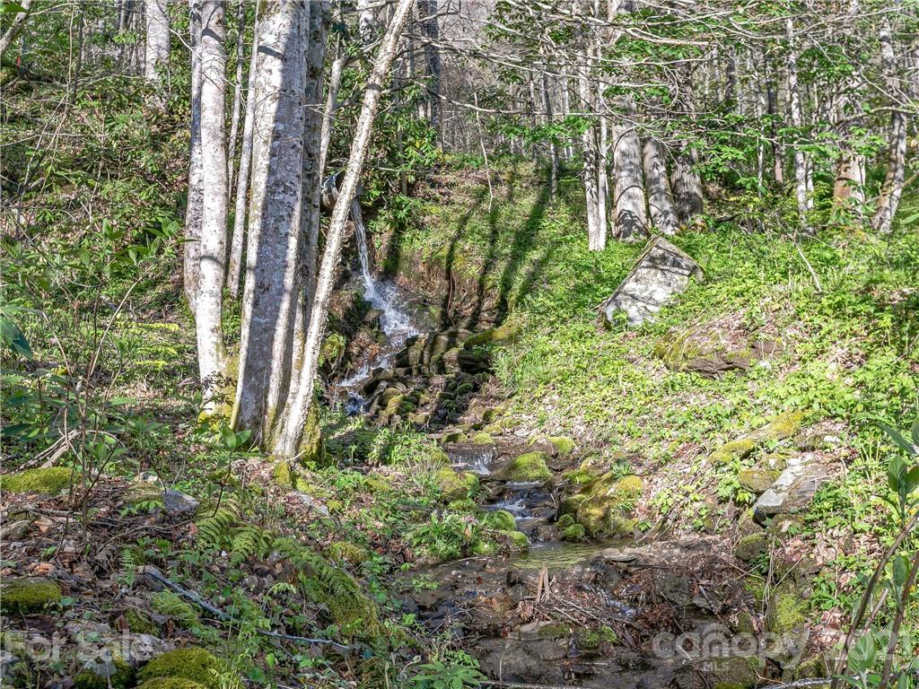 1465 Lentini Drive Waynesville NC 28785