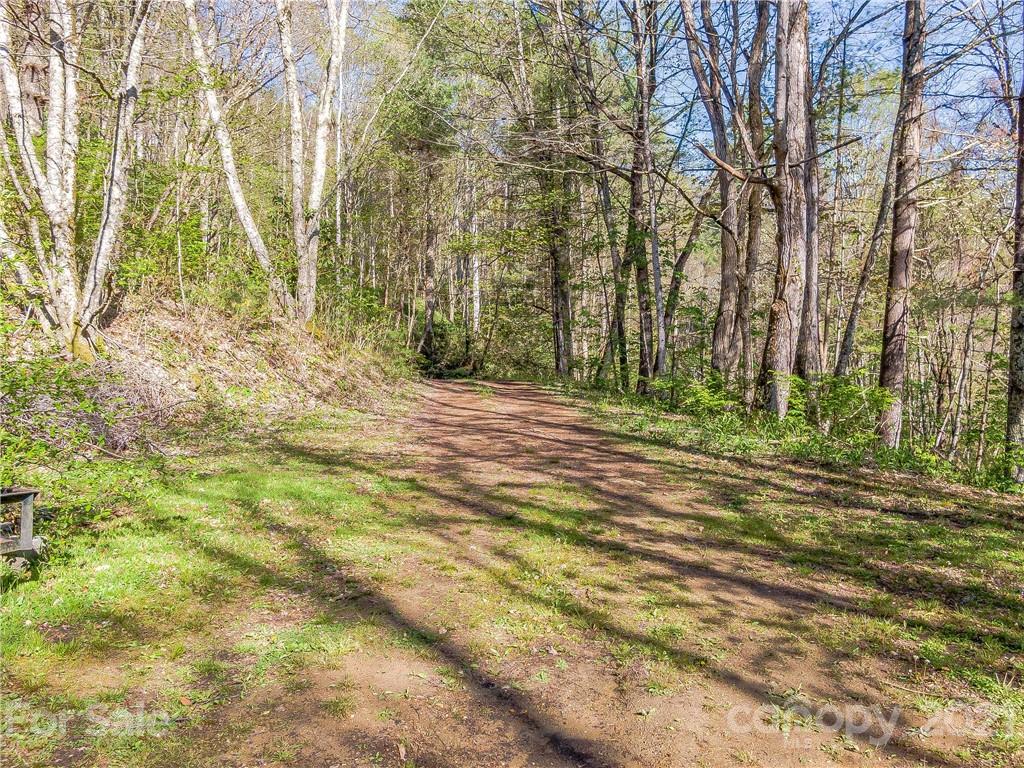 1465 Lentini Drive Waynesville NC 28785
