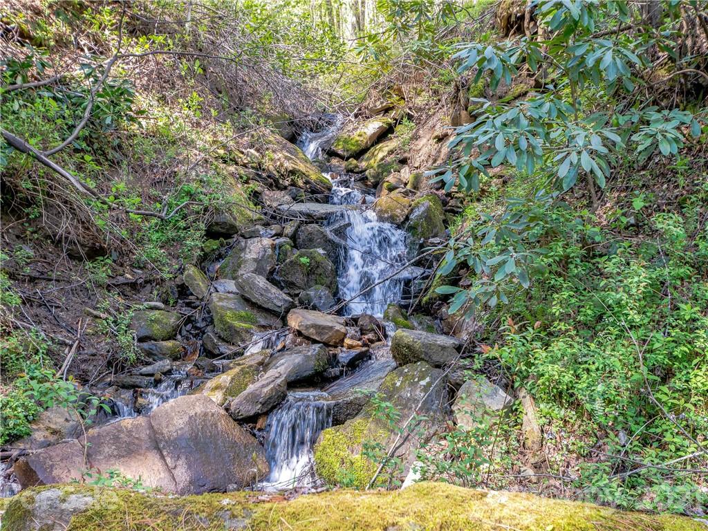1465 Lentini Drive Waynesville NC 28785
