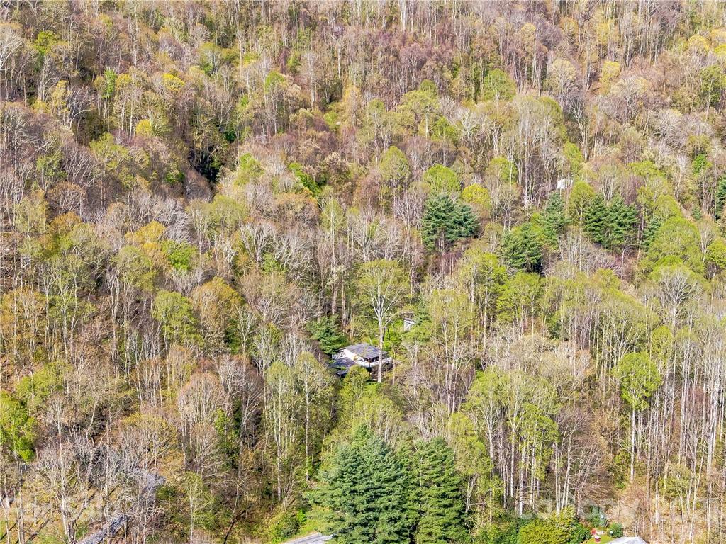 1465 Lentini Drive Waynesville NC 28785