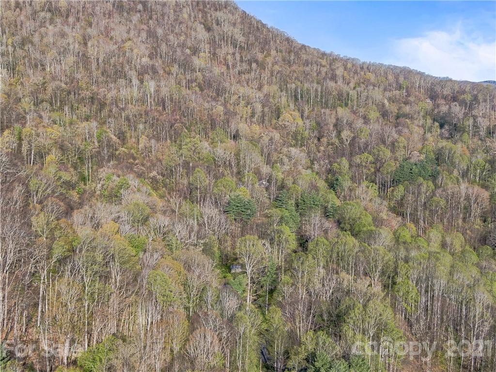 1465 Lentini Drive Waynesville NC 28785