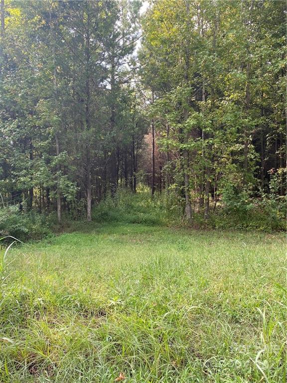 9 Ac Burree Road Clover SC 29710