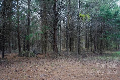 9 Ac Burree Road Clover SC 29710