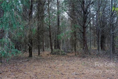 9 Ac Burree Road Clover SC 29710