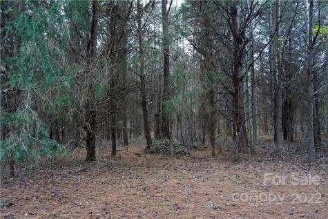 9 Ac Burree Road Clover SC 29710