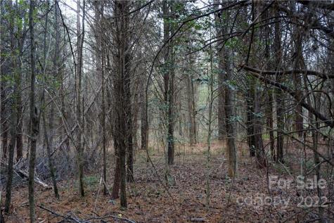 9 Ac Burree Road Clover SC 29710