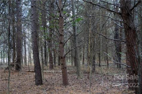 9 Ac Burree Road Clover SC 29710