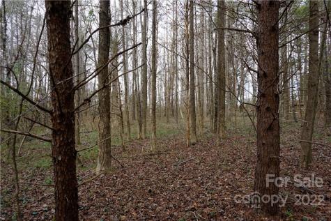 9 Ac Burree Road Clover SC 29710