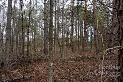 9 Ac Burree Road Clover SC 29710