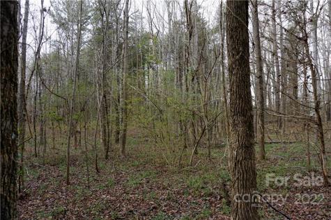 9 Ac Burree Road Clover SC 29710