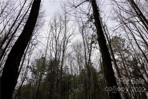 9 Ac Burree Road Clover SC 29710