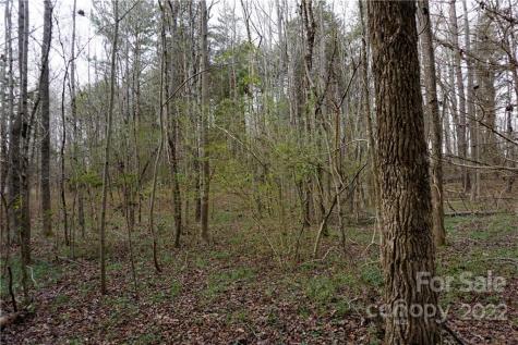 9 Ac Burree Road Clover SC 29710