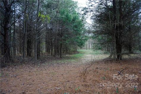 9 Ac Burree Road Clover SC 29710