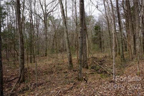 9 Ac Burree Road Clover SC 29710