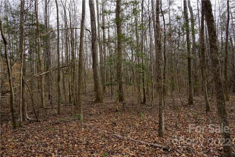 9 Ac Burree Road Clover SC 29710